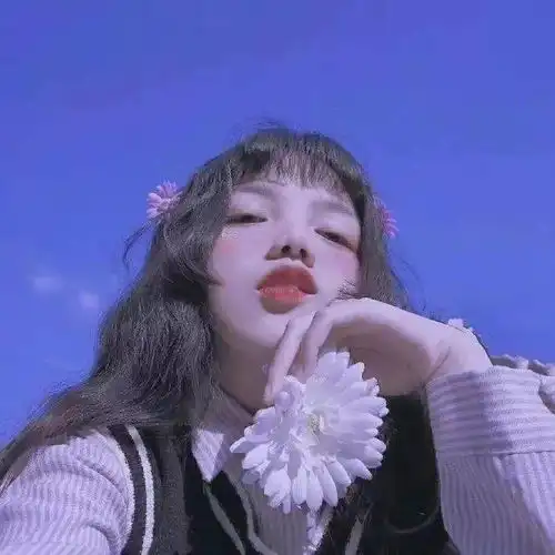 搜狐网