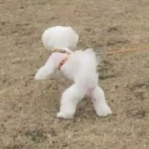  逗逼有趣情侣头像,请签收