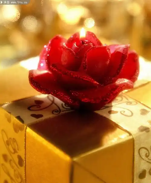  圣诞礼物与花朵圣诞节节日喜庆