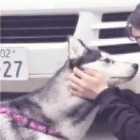  最火情侣头像独一无二qq头像潮人个性网