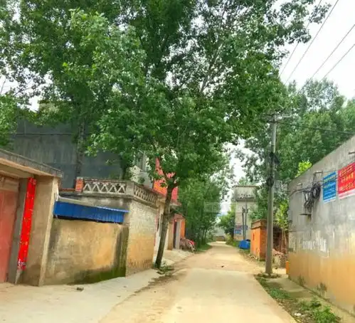  回顾保姆带介绍信上门,自称抱孩子出门散步,不料33年后才回来