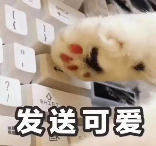  迎检大队这skr部门招新推文