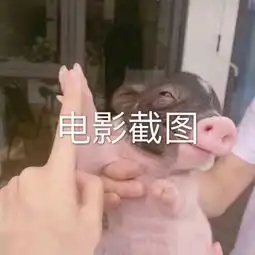  热台词的主页快手直播