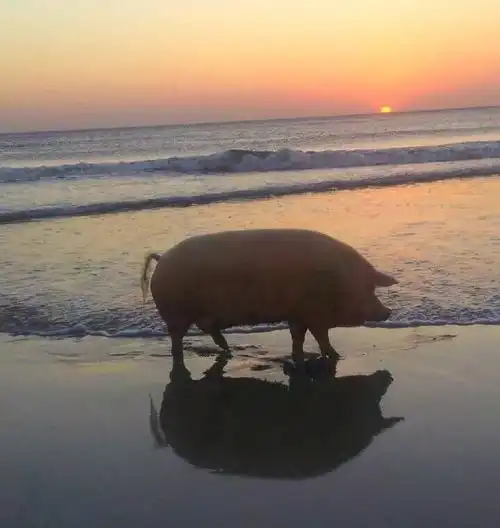  防火防盗防闺蜜,女生相机里的闺蜜造型总会突破你想象力