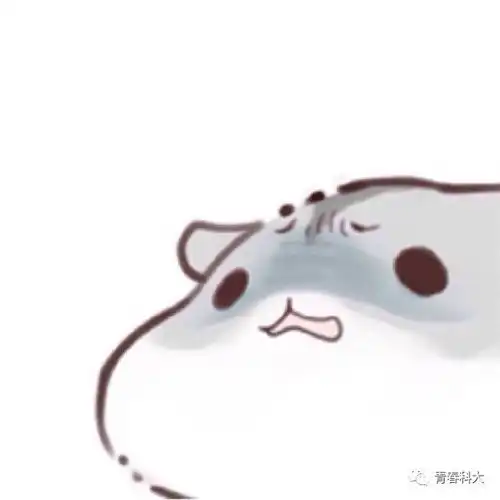 从ustcers的国庆假期路过