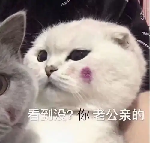 爸妈帮我设计了带独卫的卧室用心良苦啊,哈哈