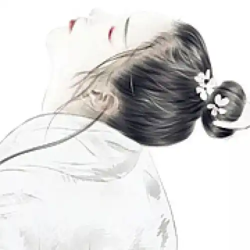  是不是很久没有推古风头像了