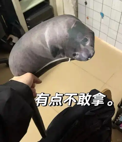  妹子养的白猫,屁股蛋长金毛,网友不信,点开一看嚯,菊部金渐层猫咪老鼠花猫宝宝逗猫网易订阅