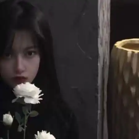  手拿白玫瑰头像手拿白玫瑰的女生头像图片