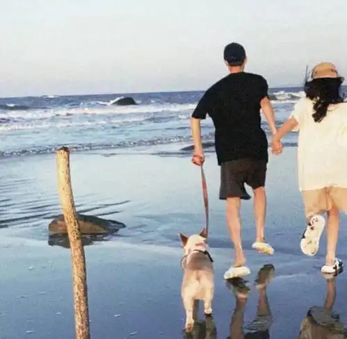  更新啦快喊ta换上可爱情侣头像合集