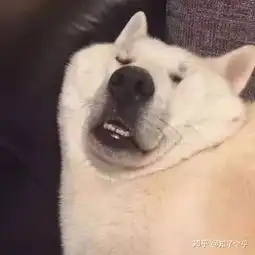  你有过怎样的奇葩雅思口语经历