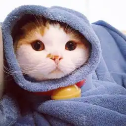  早安心语180502遇见的都是天意,拥有的都是幸运