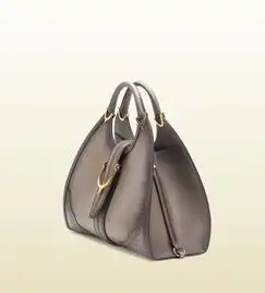  高清晰gucci古奇女性中号奢侈品包素材