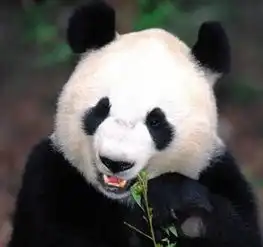  蓝色we来一条最美的星空长廊,为你准备