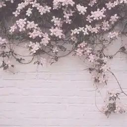  七言丨比孤独更孤独的,是和错的人在一起