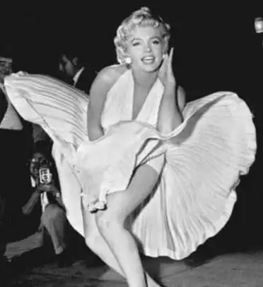  为什么女人要求苛刻橙子和橙梦露是一个品种吗