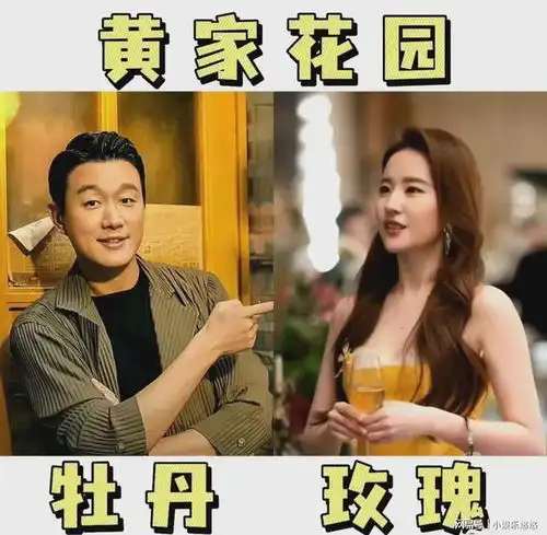  佟大为花期长的太离谱玫瑰的故事里45岁的他没有一点沧桑感