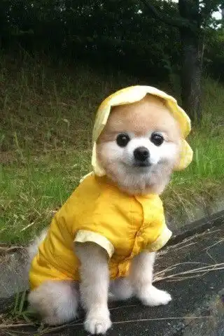  粉色cute的情侣网名