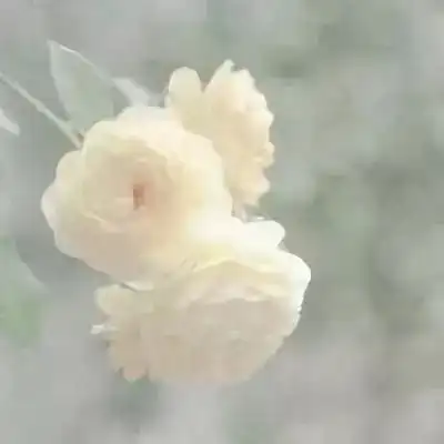  想要孩子成为什么样的人,自己就要首先成为什么样的人荐读