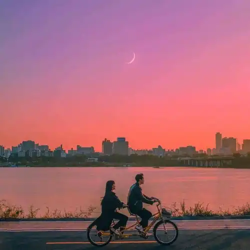  背景图月朗星稀比比皆是你