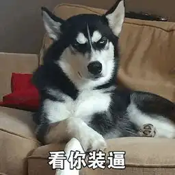 搞笑段子,我只听说过情人节,哪来的敌人节
