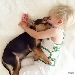  美国的年轻妈妈jessicashyba收养了被抛弃的小奶狗theo,没想到,很快狗狗将jessica的儿子当成了自己的好兄弟狗狗每天都要和小宝宝一起午睡两个钟头左右,这位年轻的母亲在闲暇时,用镜头记录了这两个小伙伴依偎在一起安静酣睡的时光,简直太有爱了
