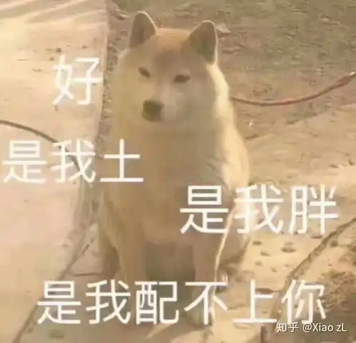  现今还在使用qq的是哪些人群