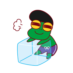  夏萌猫夏日海滨表情包