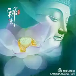  禅意莲花