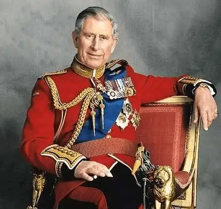  查尔斯王子确诊新冠肺炎,意味着什么