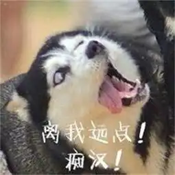  视频全集全部视频yy官方