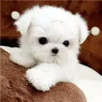  情侣之间吵架时不能说的话