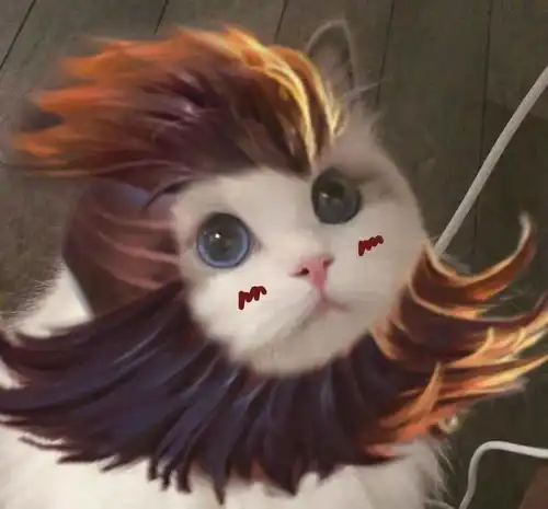  最近很火的王者荣耀猫头表情包大家看看哦