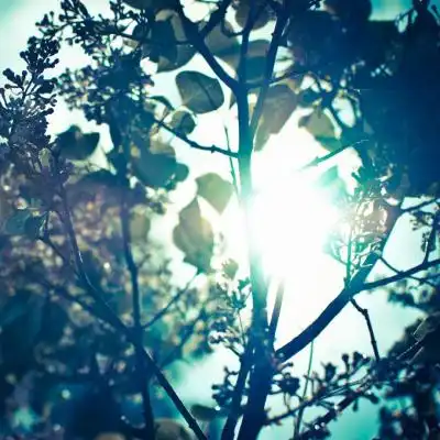  好看风景微信头像,唯美夕阳风景高清图片