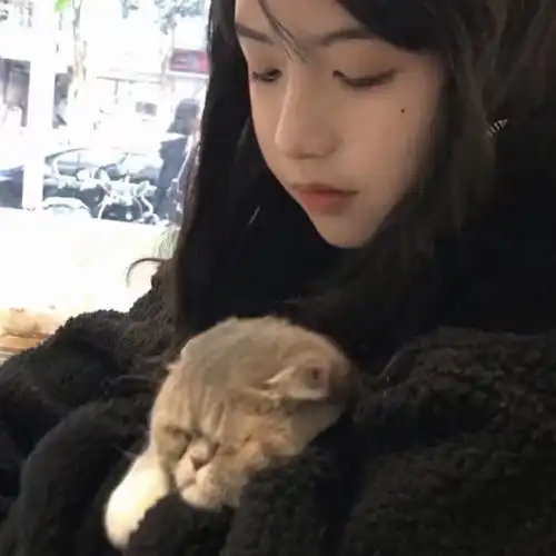  一眼就能看出家庭地位的情头