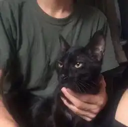  男女生个性头像大全