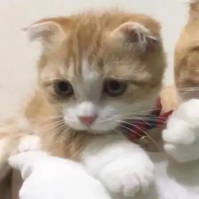  狄淇儿搞怪情头做空间里的一股情侣头像我要个性网