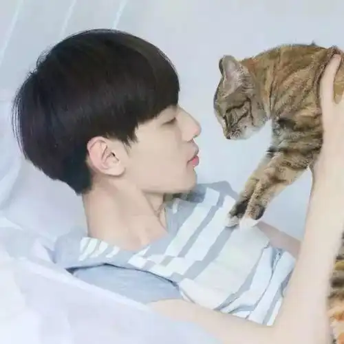  我1米8东北大汉,你说我养猫会变娘