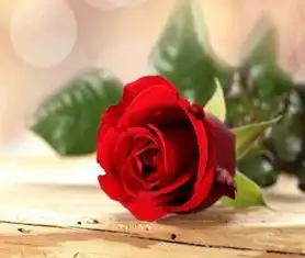  好运气降临,过上人上人生活的生肖,10月起升官发财,让人羡慕