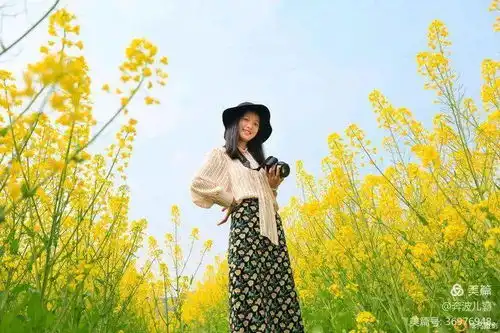  蓬溪超大片油菜花海太震撼少女心已炸裂