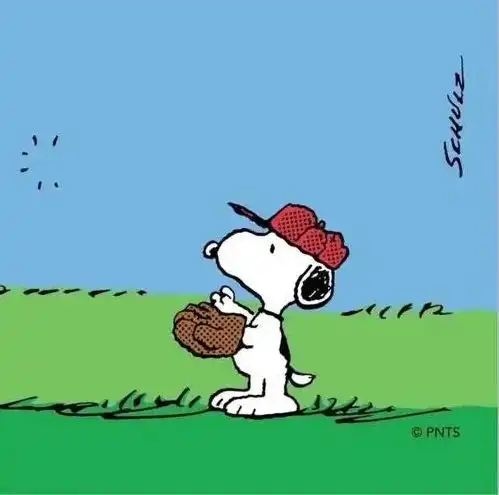  和笑容一样灿烂的二等奖宜法女团舞比幸福