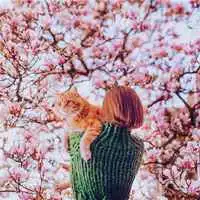  橘猫情侣头像一左一右柴犬和橘猫的情侣头像