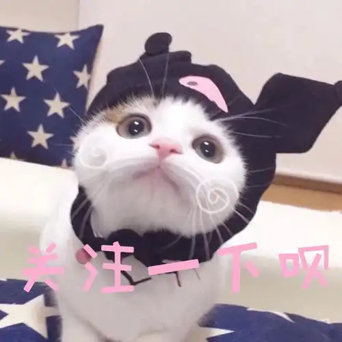  有哪些适合会计从业人员在读学生关注的资讯平台