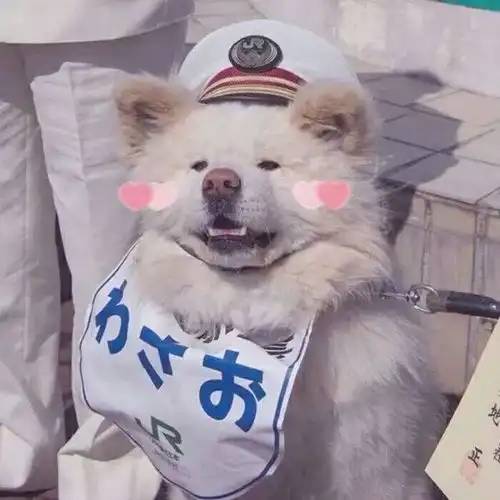  突然升级为小姨你有哪些情绪妈妈成了外婆,姐姐做了妈妈,你突然成了多余的人