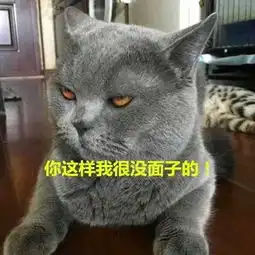  欢笑集锦谁告诉你情侣必须是一男一女呀