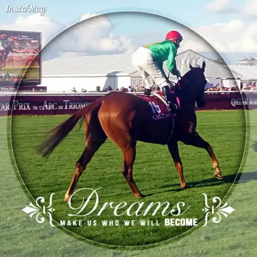  张家港法语法国小知识