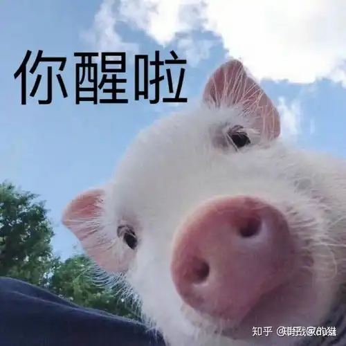  请问怎么撒娇的