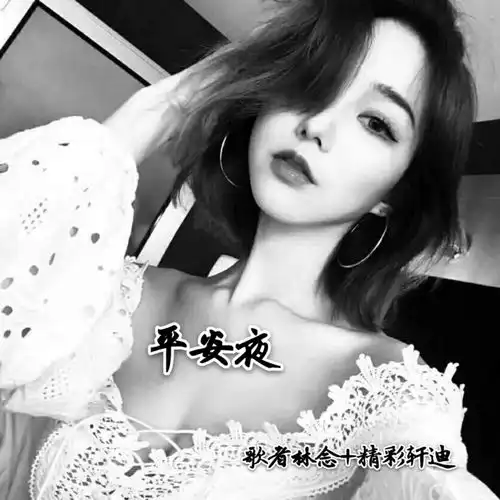 你陪我一程我念你一生remix歌者林念精彩轩迪高音质在线试听你陪我一程我念你一生remix歌词歌曲下载酷狗音乐