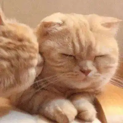 头像守一段情,思一个人