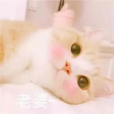  日常送头像,情侣的那种